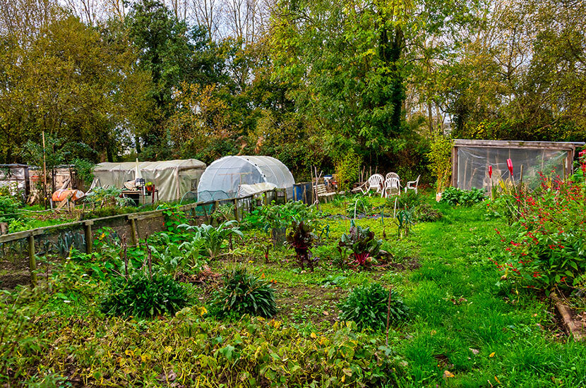 Les jardins familiaux
